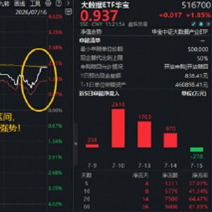 云计算+AI应用携手反攻，紫光股份登顶A股吸金榜！大数据ETF华宝（516700）最高上探3.9%，近5日吸金5311万元